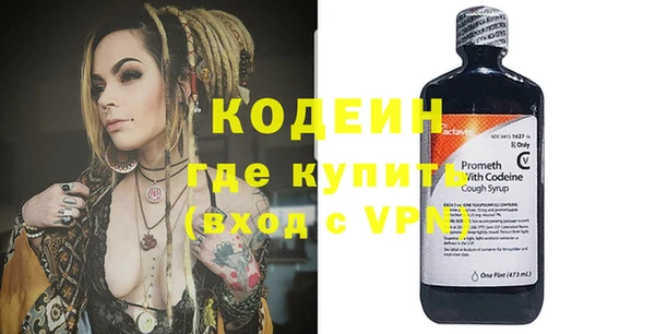 индика Богородицк