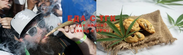 индика Богородицк
