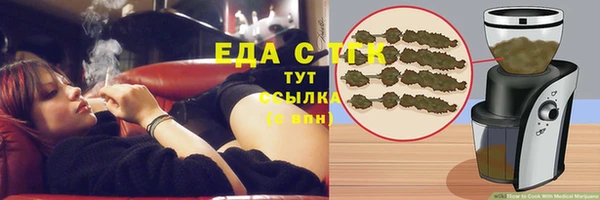 индика Богородицк