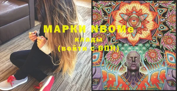 индика Богородицк