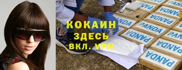 шишки Богданович
