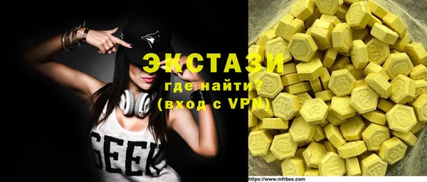 индика Богородицк