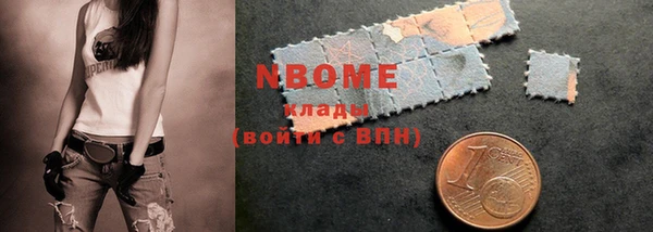 индика Богородицк