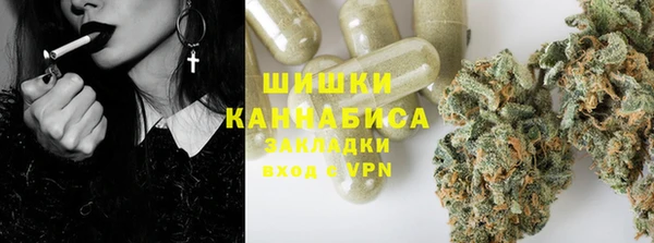 шишки Богданович